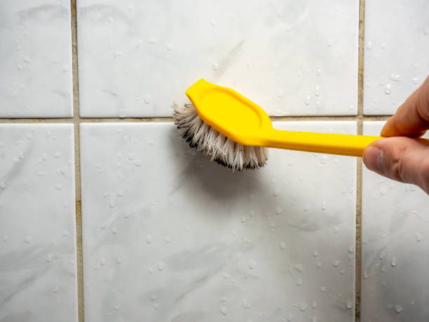 Best Commercial Mold Removal  in Centerville, UT