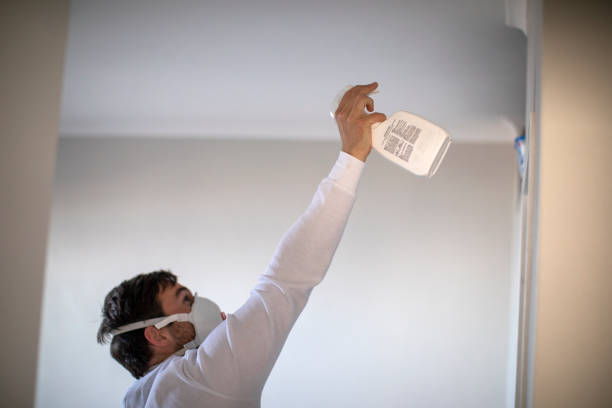 Best Local Mold Removal Service  in Centerville, UT