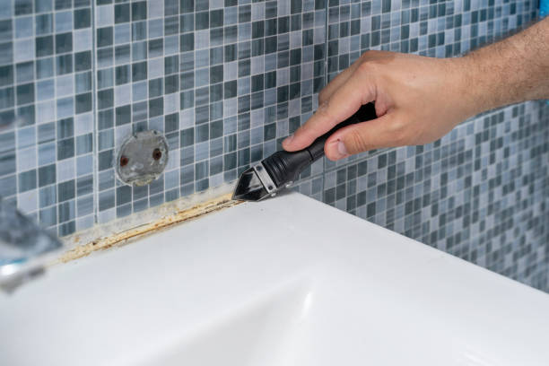 Best Fast Mold Removal  in Centerville, UT